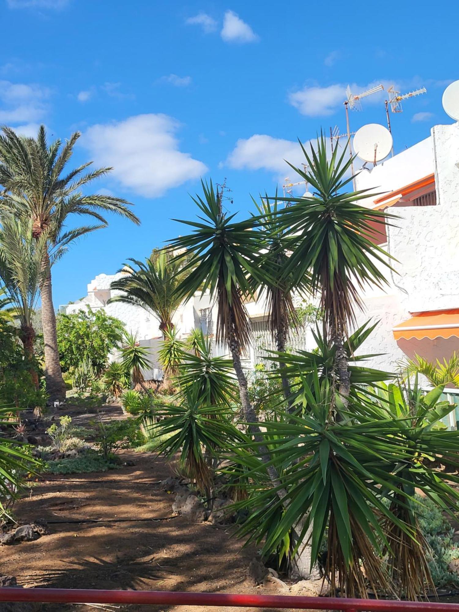 Casa Iry Apartment Costa Del Silencio Exterior foto